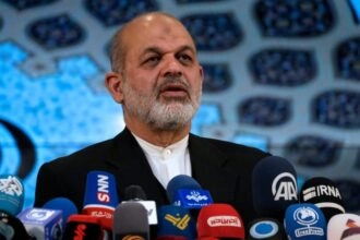 Αχμάντ Βαχίντι (AP Photo)